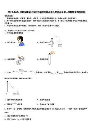 2023-2024学年湖南省长沙市开福区周南中学九年级化学第一学期期末预测试题含解析.doc