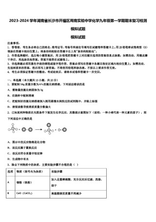 2023-2024学年湖南省长沙市开福区周南实验中学化学九年级第一学期期末复习检测模拟试题含解析.doc