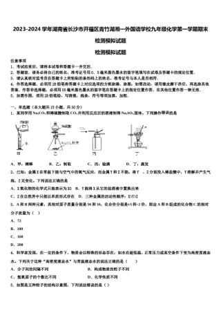 2023-2024学年湖南省长沙市开福区青竹湖湘一外国语学校九年级化学第一学期期末检测模拟试题含解析.doc