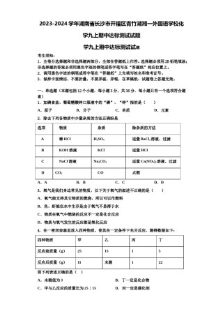 2023-2024学年湖南省长沙市开福区青竹湖湘一外国语学校化学九上期中达标测试试题含解析.doc