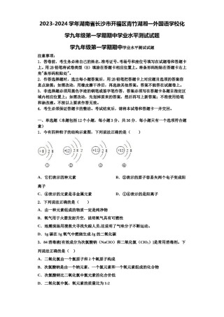 2023-2024学年湖南省长沙市开福区青竹湖湘一外国语学校化学九年级第一学期期中学业水平测试试题含解析.doc