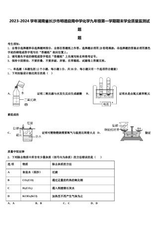 2023-2024学年湖南省长沙市明德启南中学化学九年级第一学期期末学业质量监测试题含解析.doc