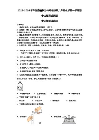 2023-2024学年湖南省长沙市明德旗舰九年级化学第一学期期中达标测试试题含解析.doc