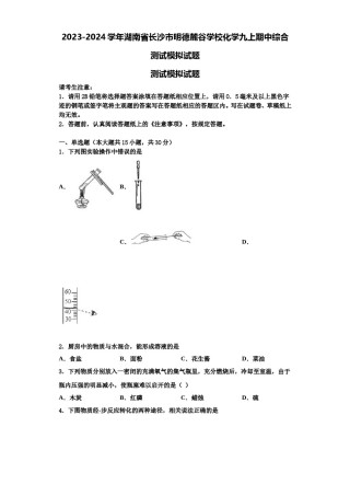 2023-2024学年湖南省长沙市明德麓谷学校化学九上期中综合测试模拟试题含解析.doc