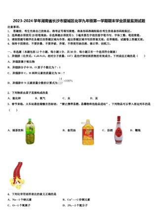 2023-2024学年湖南省长沙市望城区化学九年级第一学期期末学业质量监测试题含解析.doc