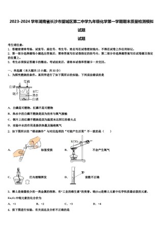 2023-2024学年湖南省长沙市望城区第二中学九年级化学第一学期期末质量检测模拟试题含解析.doc