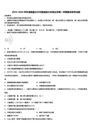 2023-2024学年湖南省长沙市望城县九年级化学第一学期期末联考试题含解析.doc