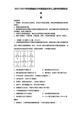 2023-2024学年湖南省长沙市望城县化学九上期中检测模拟试题含解析.doc