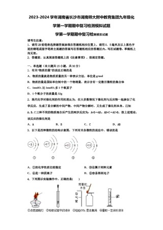2023-2024学年湖南省长沙市湖南师大附中教育集团九年级化学第一学期期中复习检测模拟试题含解析.doc