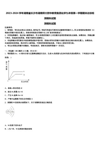2023-2024学年湖南省长沙市湖南师大附中教育集团化学九年级第一学期期末达标检测模拟试题含解析.doc