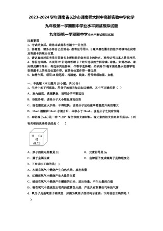 2023-2024学年湖南省长沙市湖南师大附中高新实验中学化学九年级第一学期期中学业水平测试模拟试题含解析.doc