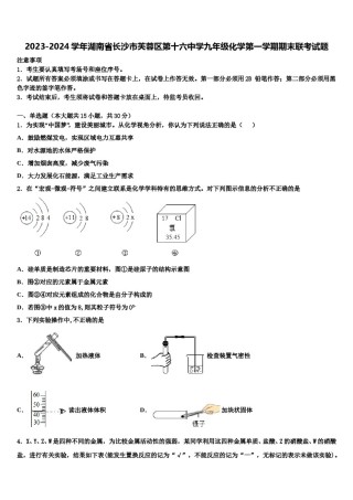 2023-2024学年湖南省长沙市芙蓉区第十六中学九年级化学第一学期期末联考试题含解析.doc