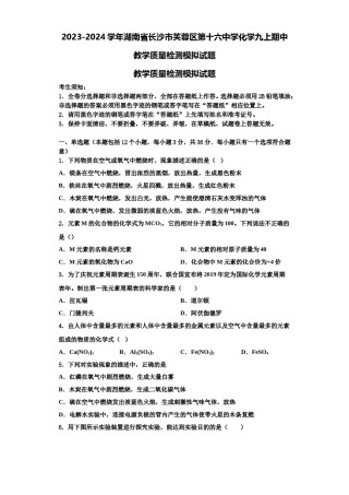 2023-2024学年湖南省长沙市芙蓉区第十六中学化学九上期中教学质量检测模拟试题含解析.doc