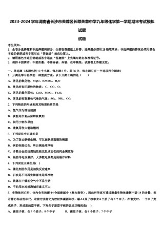 2023-2024学年湖南省长沙市芙蓉区长郡芙蓉中学九年级化学第一学期期末考试模拟试题含解析.doc