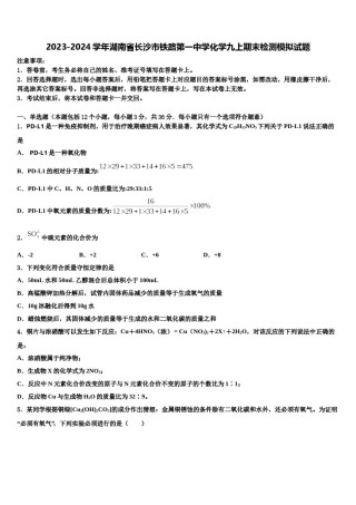 2023-2024学年湖南省长沙市铁路第一中学化学九上期末检测模拟试题含解析.doc