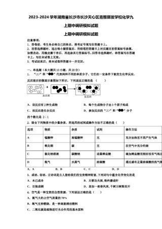 2023-2024学年湖南省长沙市长沙天心区青雅丽发学校化学九上期中调研模拟试题含解析.doc