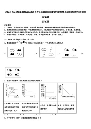 2023-2024学年湖南省长沙市长沙天心区青雅丽发学校化学九上期末学业水平测试模拟试题含解析.doc