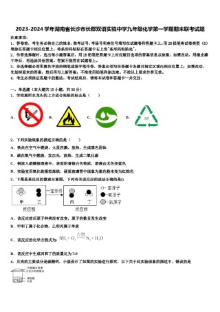 2023-2024学年湖南省长沙市长郡双语实验中学九年级化学第一学期期末联考试题含解析.doc