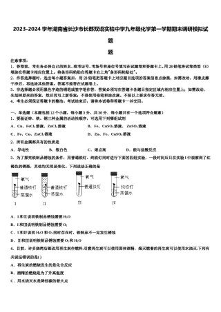 2023-2024学年湖南省长沙市长郡双语实验中学九年级化学第一学期期末调研模拟试题含解析.doc