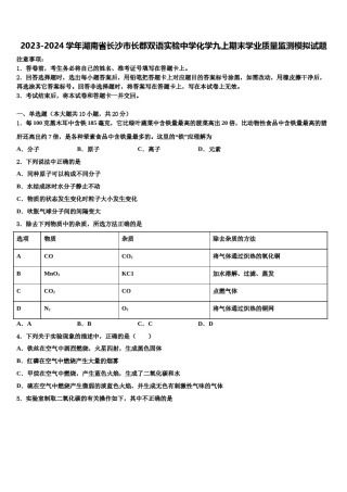 2023-2024学年湖南省长沙市长郡双语实验中学化学九上期末学业质量监测模拟试题含解析.doc