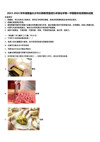 2023-2024学年湖南省长沙市长郡教育集团九年级化学第一学期期末检测模拟试题含解析.doc