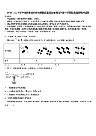 2023-2024学年湖南省长沙市长郡教育集团九年级化学第一学期期末监测模拟试题含解析.doc