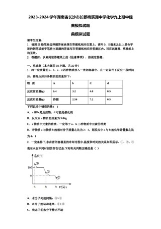 2023-2024学年湖南省长沙市长郡梅溪湖中学化学九上期中经典模拟试题含解析.doc