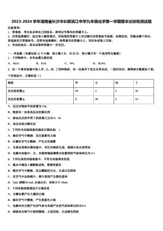 2023-2024学年湖南省长沙市长郡滨江中学九年级化学第一学期期末达标检测试题含解析.doc