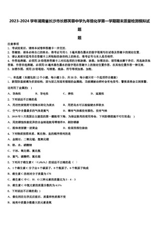 2023-2024学年湖南省长沙市长郡芙蓉中学九年级化学第一学期期末质量检测模拟试题含解析.doc