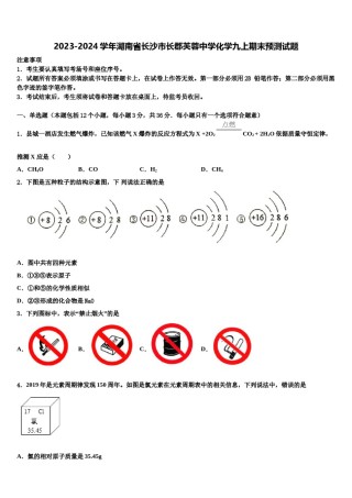 2023-2024学年湖南省长沙市长郡芙蓉中学化学九上期末预测试题含解析.doc