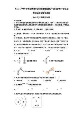 2023-2024学年湖南省长沙市长郡集团九年级化学第一学期期中达标检测模拟试题含解析.doc
