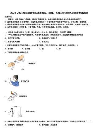 2023-2024学年湖南省长沙市雅实、北雅、长雅三校化学九上期末考试试题含解析.doc