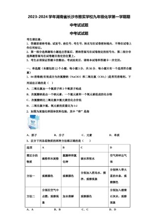 2023-2024学年湖南省长沙市雅实学校九年级化学第一学期期中考试试题含解析.doc