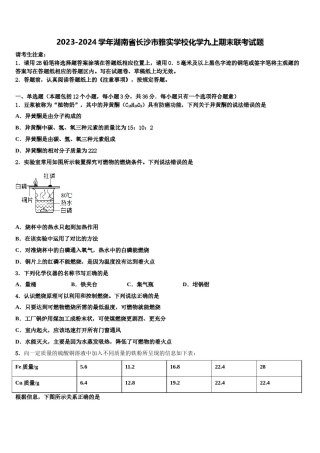 2023-2024学年湖南省长沙市雅实学校化学九上期末联考试题含解析.doc