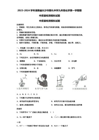 2023-2024学年湖南省长沙市雅礼中学九年级化学第一学期期中质量检测模拟试题含解析.doc