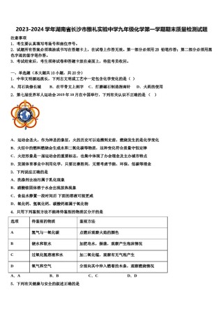 2023-2024学年湖南省长沙市雅礼实验中学九年级化学第一学期期末质量检测试题含解析.doc