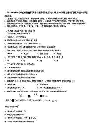 2023-2024学年湖南省长沙市雅礼集团化学九年级第一学期期末复习检测模拟试题含解析.doc