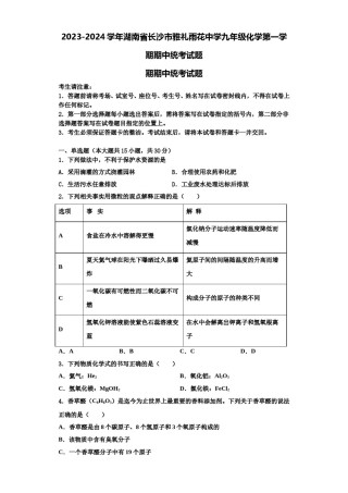 2023-2024学年湖南省长沙市雅礼雨花中学九年级化学第一学期期中统考试题含解析.doc