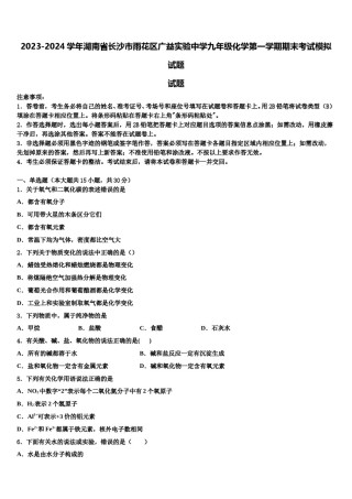 2023-2024学年湖南省长沙市雨花区广益实验中学九年级化学第一学期期末考试模拟试题含解析.doc