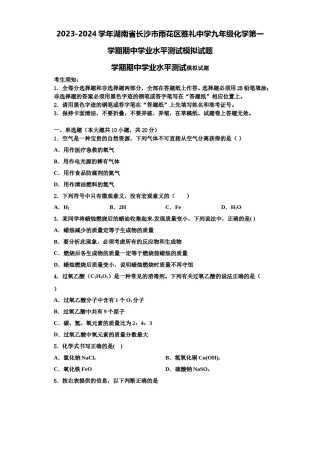 2023-2024学年湖南省长沙市雨花区雅礼中学九年级化学第一学期期中学业水平测试模拟试题含解析.doc