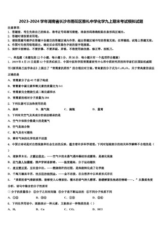 2023-2024学年湖南省长沙市雨花区雅礼中学化学九上期末考试模拟试题含解析.doc