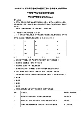 2023-2024学年湖南省长沙市雨花区雅礼中学化学九年级第一学期期中教学质量检测模拟试题含解析.doc
