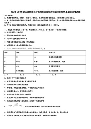 2023-2024学年湖南省长沙市雨花区雅礼教育集团化学九上期末统考试题含解析.doc