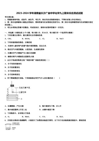 2023-2024学年湖南省长沙广益中学化学九上期末综合测试试题含解析.doc