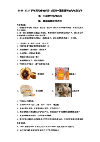 2023-2024学年湖南省长沙青竹湖湘一外国语学校九年级化学第一学期期中统考试题含解析.doc