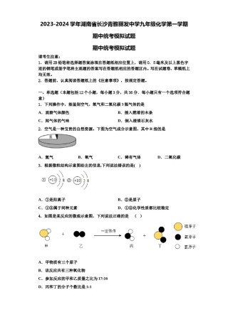 2023-2024学年湖南省长沙青雅丽发中学九年级化学第一学期期中统考模拟试题含解析.doc