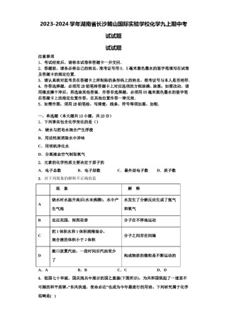 2023-2024学年湖南省长沙麓山国际实验学校化学九上期中考试试题含解析.doc