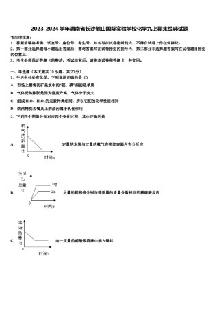 2023-2024学年湖南省长沙麓山国际实验学校化学九上期末经典试题含解析.doc