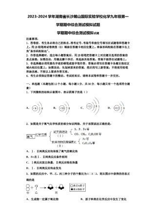 2023-2024学年湖南省长沙麓山国际实验学校化学九年级第一学期期中综合测试模拟试题含解析.doc