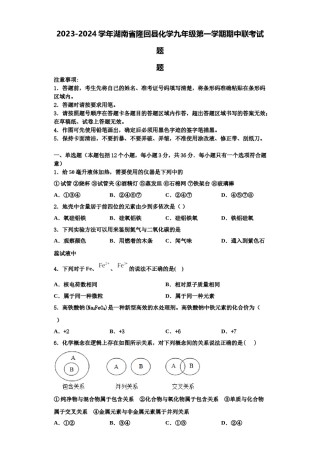 2023-2024学年湖南省隆回县化学九年级第一学期期中联考试题含解析.doc